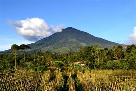Peran Gunung dalam Ekosistem Letak Gunung Cikuray